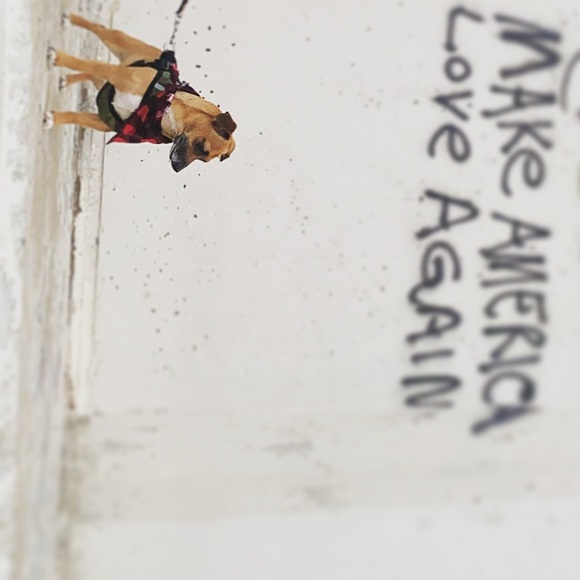 Meet your Posher, Elena R ✨🦋🌻 - Picture 3 of 4